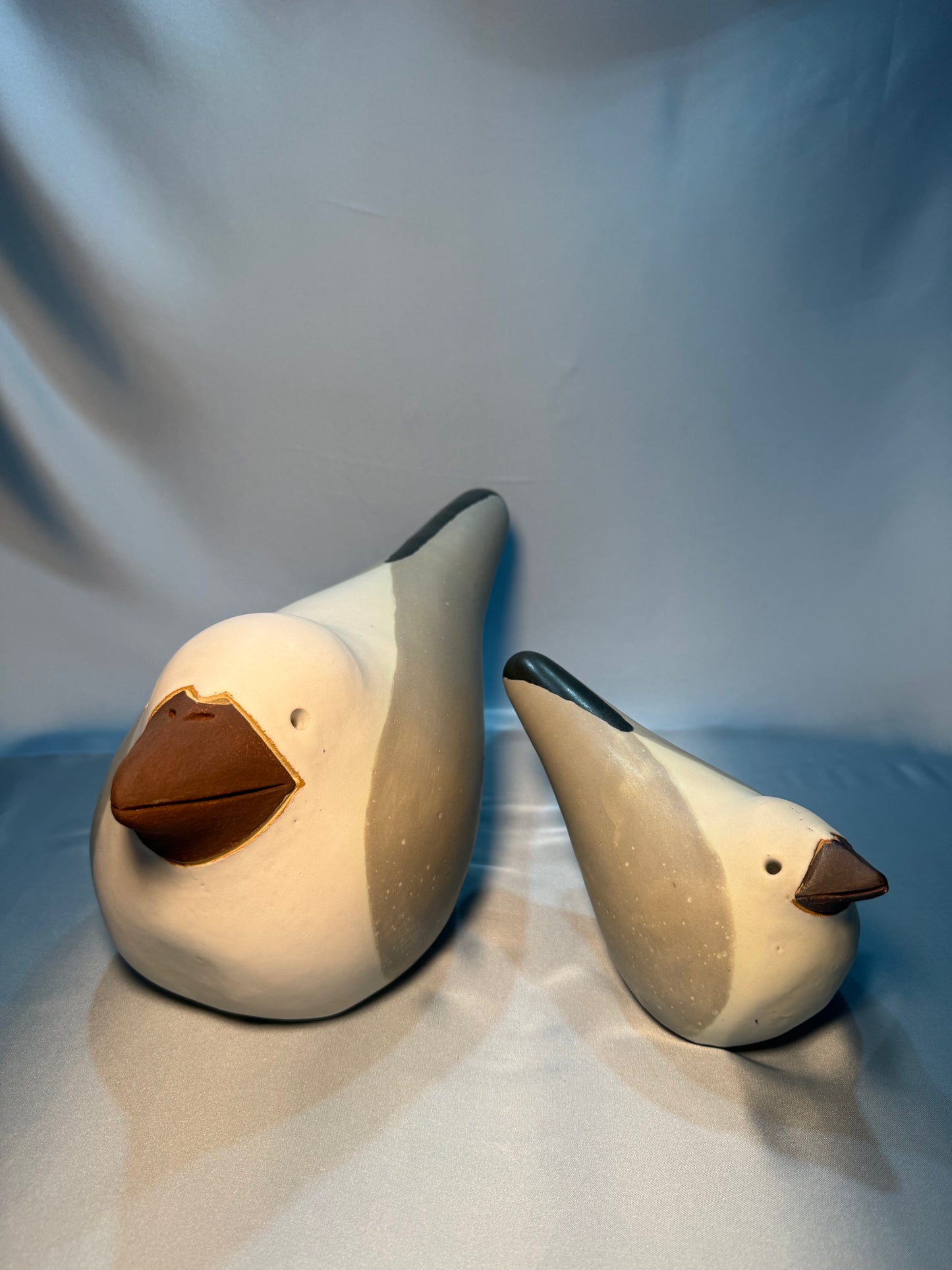 Möwe